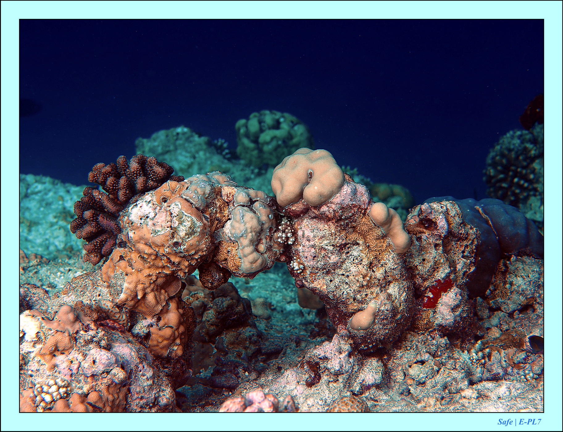 2023 - 07 - Sandies Bathala - 182